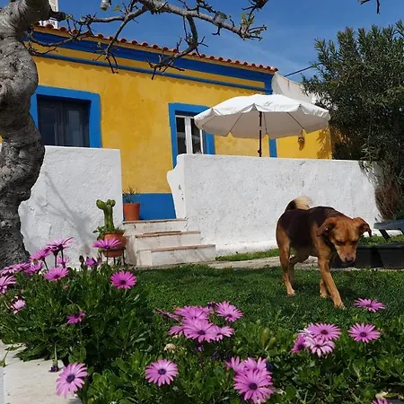 Monte Da Ti Luzia Villa Faro Exterior photo